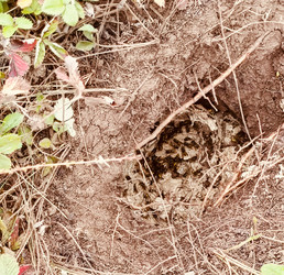 Similar image 22246997