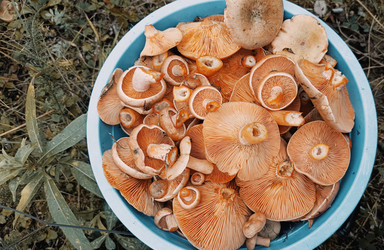 Similar image 22246999