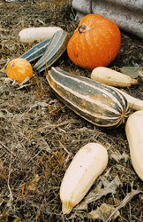 Similar image 22247001