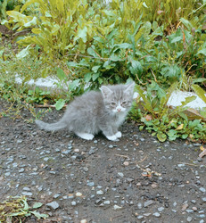 Similar image 22258106