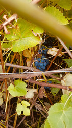 Similar image 22247003