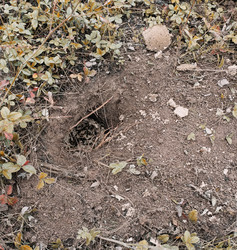 Similar image 22247005