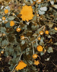 Similar image 22258108