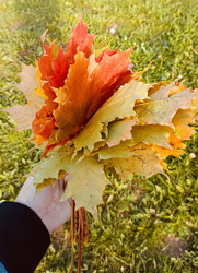 Similar image 22247006