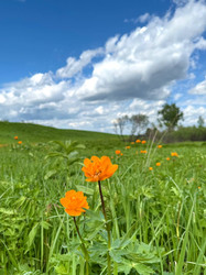 Similar image 22244165