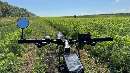 Similar image 22245162