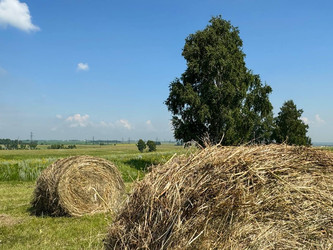 Similar image 22245163