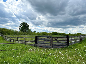 Similar image 22245164