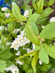 Similar image 22245167