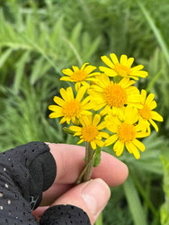 Similar image 22245168