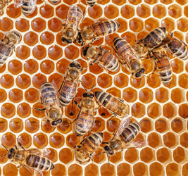 Similar image 22247096