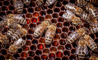 Similar image 22247097