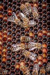 Similar image 22247098