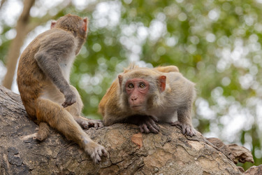 Similar image 22247099