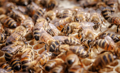 Similar image 22247100