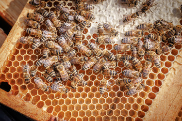 Similar image 22247101