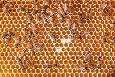 Similar image 22247102