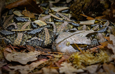 Similar image 22247103