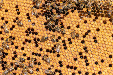 Similar image 22247106