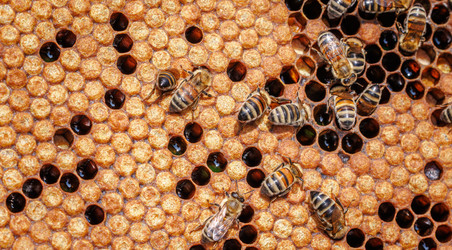 Similar image 22247107