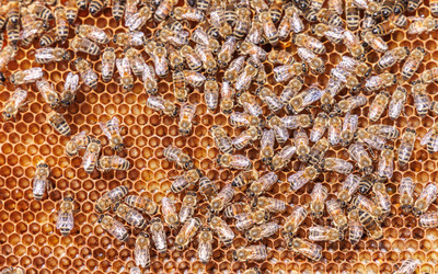 Similar image 22247108