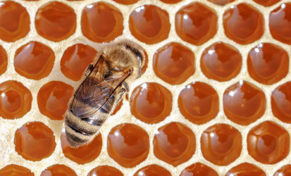 Similar image 22247109