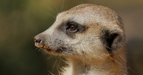 Similar image 22247110