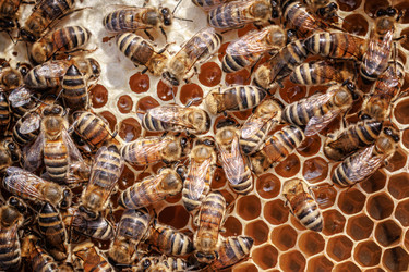 Similar image 22247111