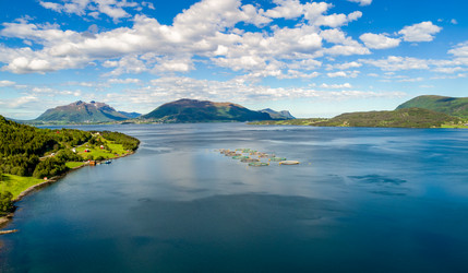 Similar image 22247118