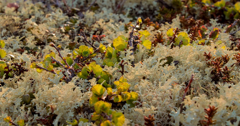 Similar image 22247217