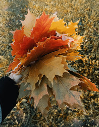 Similar image 22247007