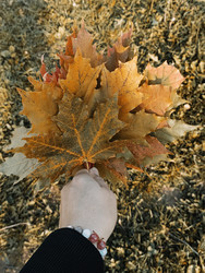 Similar image 22258110