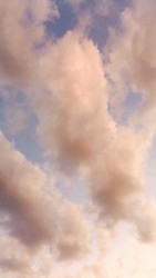 Similar image 22247008