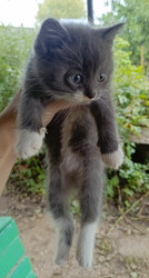 Similar image 22258112