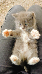 Similar image 22258113