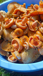 Similar image 22247011