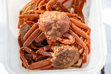 Similar image 22244765