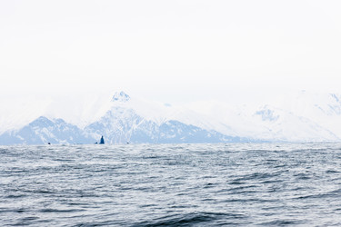 Similar image 22244608