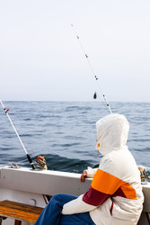 Similar image 22244609