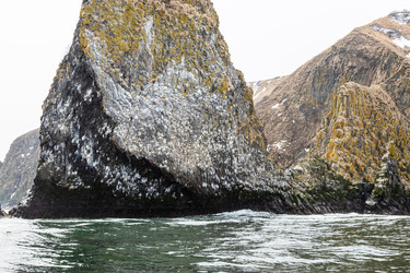 Similar image 22244772