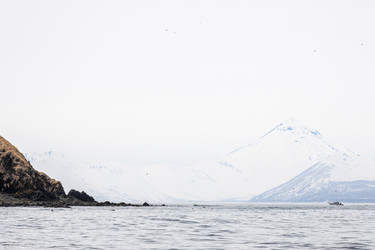 Similar image 22244774