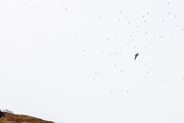 Similar image 22244775