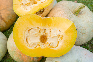 Similar image 22246656