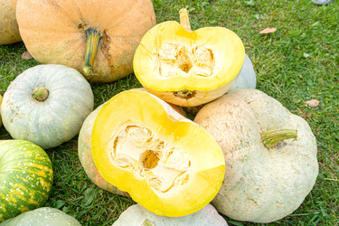 Similar image 22246657