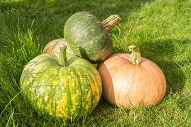 Similar image 22246658