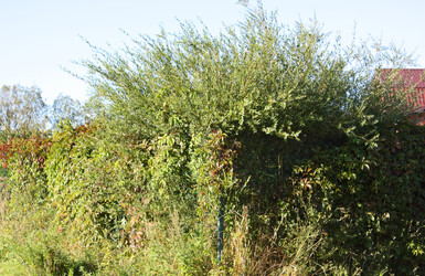 Similar image 22247015