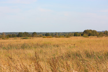 Similar image 22247022