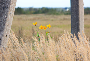 Similar image 22247023