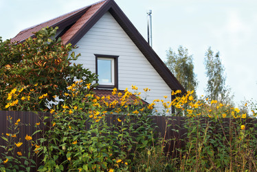 Similar image 22247024