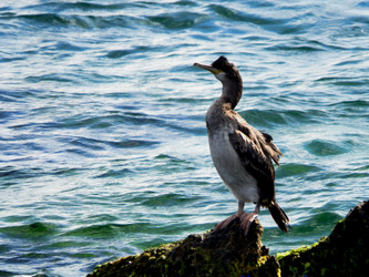 Similar image 22247606